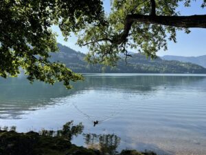 Casa vacanze Rebri holiday home dintorni